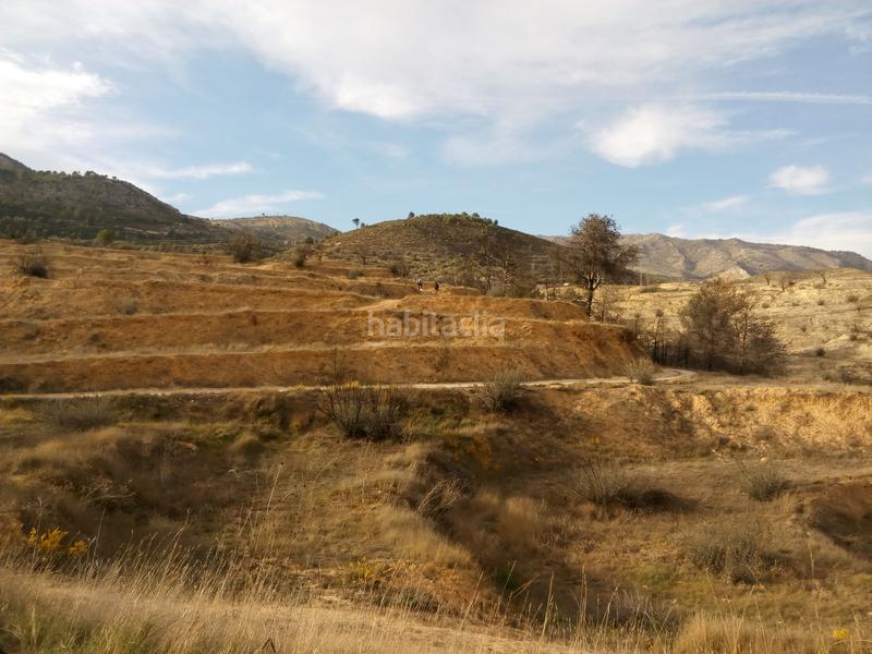 Foto e18ffc8b-a68e-4547-ab5c-cb4533527a15. Finca rústica solvia inmobiliaria suelo rústico alcoy en Alcoi