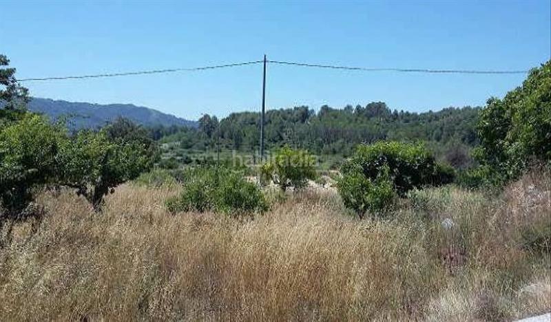 Foto 4fdbe572-d9b6-4c5c-bd25-d2b1baab4aa3. Finca rústica a Orxa (l´)