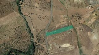 Finca rústica  Pt tomillares de almendral. Solvia inmobiliaria  suelo rústico almendral