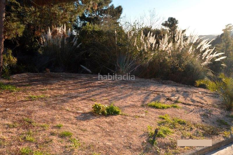 Foto f3232a93-595b-4eda-a217-fb9eefe707d2. Fondo rustico in Lloret Blau - La Creu de Lloret Lloret de Mar