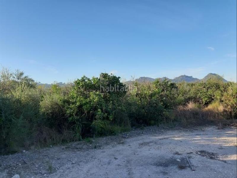 Foto 87146e9f-8da3-475e-84a7-0fe8a573e6c8. Finca rústica a Xàtiva