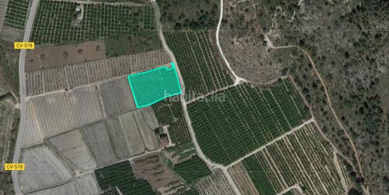 Foto df7e9de1-3753-4938-859d-be177bbdbd9b. Finca rústica a Xàtiva