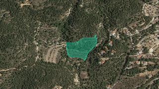 Propriété  Pt paraje antón. Solvia inmobiliaria  suelo rústico finestrat