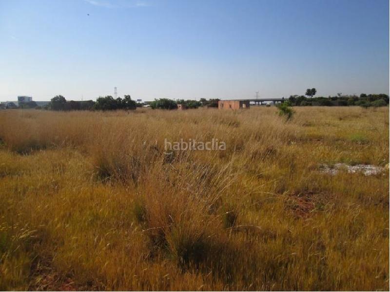 Foto 4e51ce4f-94ff-4e2e-bac6-074b598535f1. Finca rústica solvia inmobiliaria suelo urbanizable villarrealvilareal en Villarreal / Vila - real