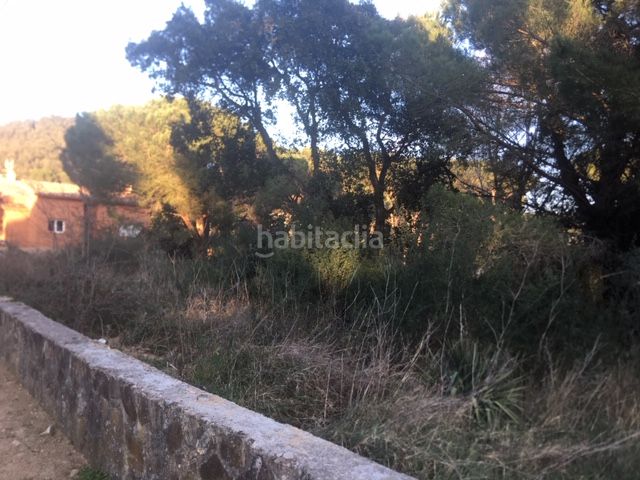 Foto 38289266-33b2-4662-b57c-57f8a8069989. Finca rústica a Urbanitzacions del Nord Santa Cristina d´Aro