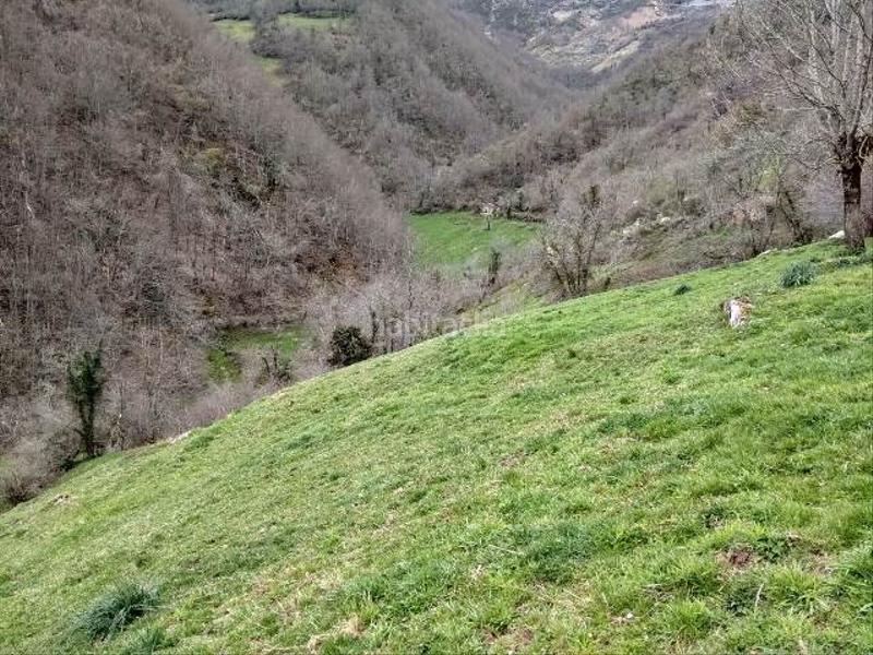 Foto e7ff49ba-c4bc-4196-8d24-d4050bec9dc9. Finca rústica solvia inmobiliaria suelo rústico lena en Quirós