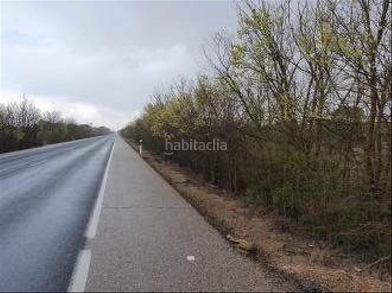 Foto 0baca814-d187-4b09-9a8a-416f696777b8. Finca rústica a Provencio (El)