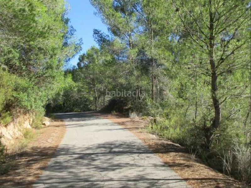 Foto 4a104e8a-2ce2-4af9-9151-c1dee61f4ac3. Finca rústica a Sant Joan de Moró