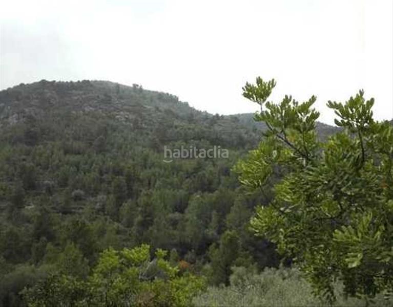 Foto 76bbd484-0dc6-491d-b37f-7c7110f8c426. Finca rústica a Sant Joan de Moró