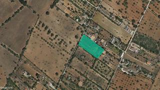 Rural plot  Pl 19. Solvia inmobiliaria  suelo rústico llucmajor