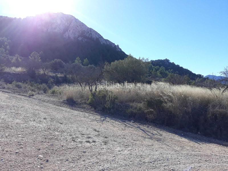 Foto 43ab071c-9c51-4765-9fa9-80494bb65c7d. Finca rústica solvia inmobiliaria suelo rústico en Abanilla