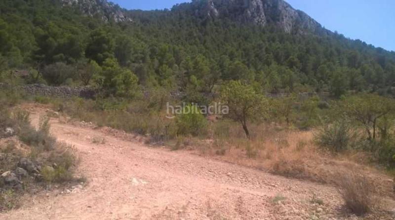 Foto 6e372e9e-8fc1-48c1-ae9b-ade4e6acddab. Finca rústica solvia inmobiliaria suelo rústico en Abanilla