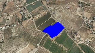 Finca rústica  Paraje horna baja. Solvia inmobiliaria  suelo rústico novelda