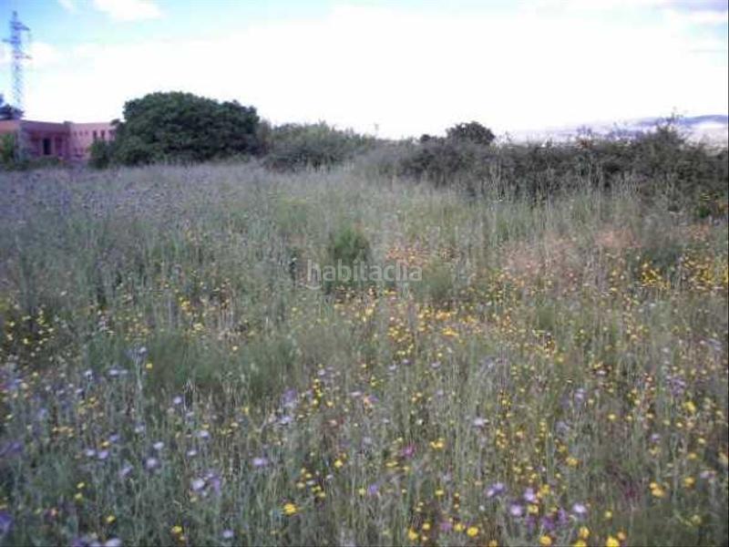 Foto e957f0fd-d353-4be2-8a29-5ee50be39f7f. Rural plot in Sant Josep-Zona Hospital Ontinyent