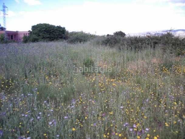 Foto e957f0fd-d353-4be2-8a29-5ee50be39f7f. Finca rústica a Sant Josep-Zona Hospital Ontinyent
