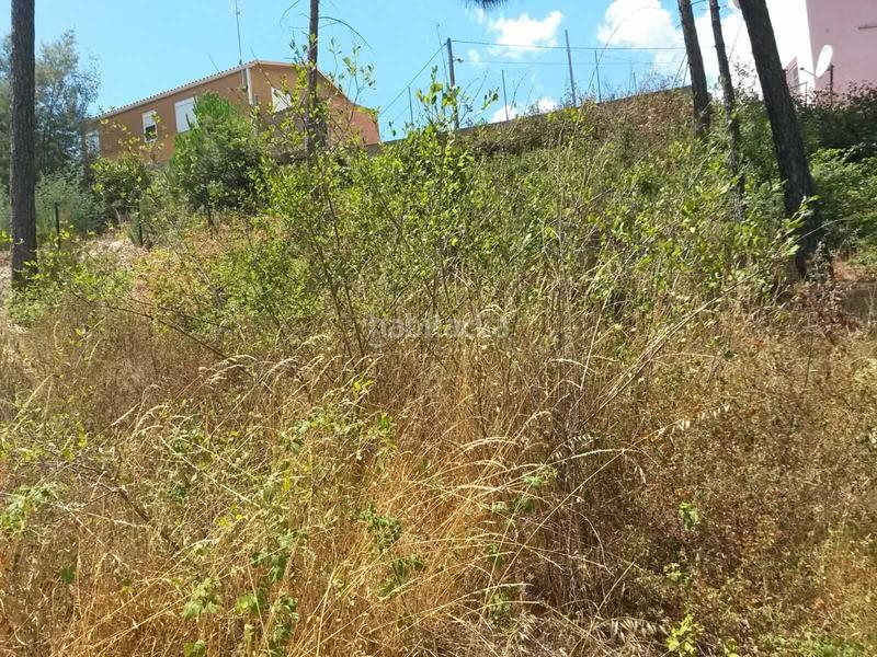 Foto 07a24a2d-d640-4a76-9b52-43ee71d4d330. Fondo rustico in Residencial Park Maçanet de la Selva