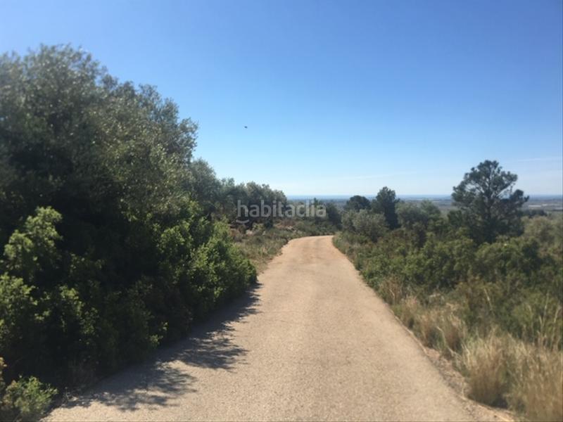 Foto 964c08ac-5461-45ab-96e5-4f6494d8eebd. Landgut in Sénia (La)