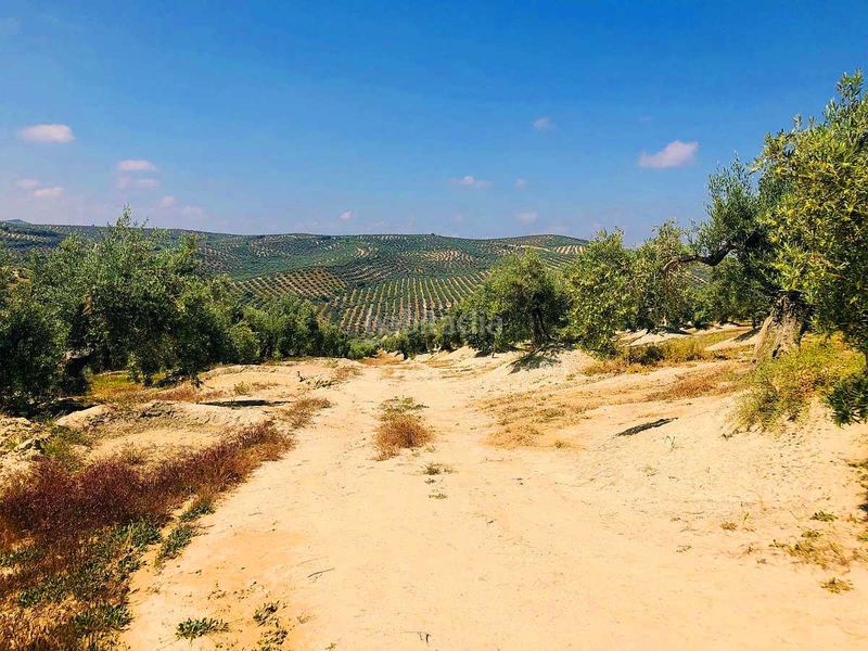 Foto 1dd33b14-c27b-4437-9cc6-a628e1c2d7de. Finca rústica a Torredelcampo