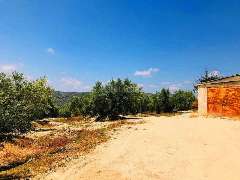Foto 3af0ddef-304a-4ea4-9aab-5b17c8df6066. Finca rústica a Torredelcampo