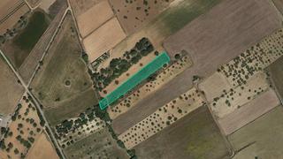 Rural plot  Pl 11 parc 233. Solvia inmobiliaria  suelo rústico porreres