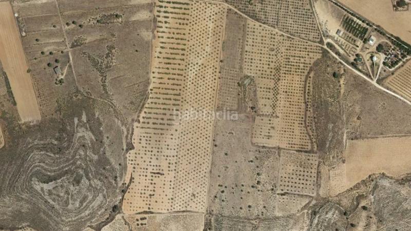 Foto 72bf463a-e051-4845-ad05-8a135ae9413a. Finca rústica a Las Virtudes Villena