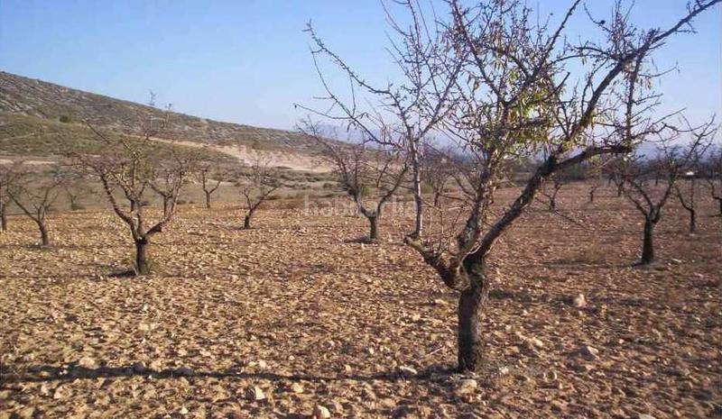 Foto 96fa30f0-06fb-4823-8e77-cf82e9a46c86. Finca rústica a Las Virtudes Villena