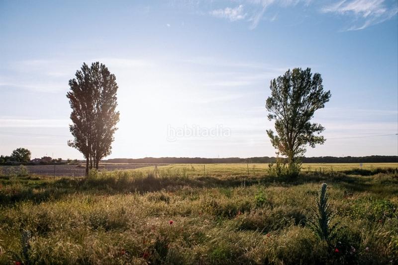 Foto 28cc1fa7-9f1b-4fe1-b1fe-cea0c4b3c2cb. Finca rústica solvia inmobiliaria suelo urbano en Aldeamayor de San Martín