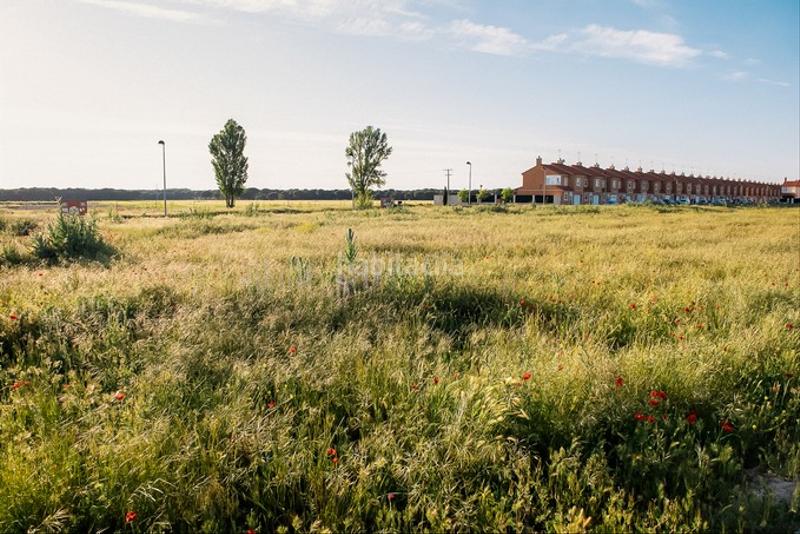 Foto 95abc146-a6ab-4a9e-8932-0f72414bfe18. Finca rústica solvia inmobiliaria suelo urbano en Aldeamayor de San Martín