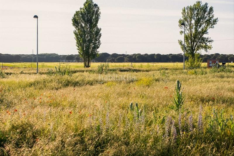 Foto af010429-805f-4cd5-bf37-c3a4d5dd8b77. Finca rústica solvia inmobiliaria suelo urbano en Aldeamayor de San Martín