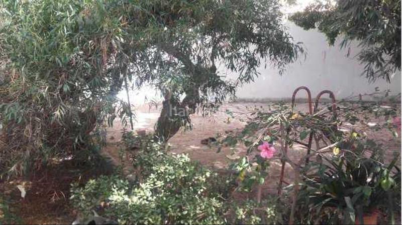 Foto 03dc2f5f-b52d-4ca4-a14a-d06698f1ee13. Finca rústica a Ejido centro Ejido (El)