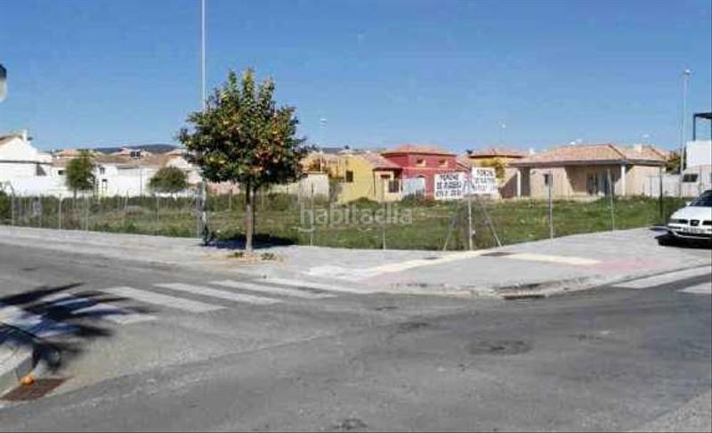 Foto 4f7c1dd3-c07e-4a6a-a318-71d711397dec. Fondo rustico in Burguillos