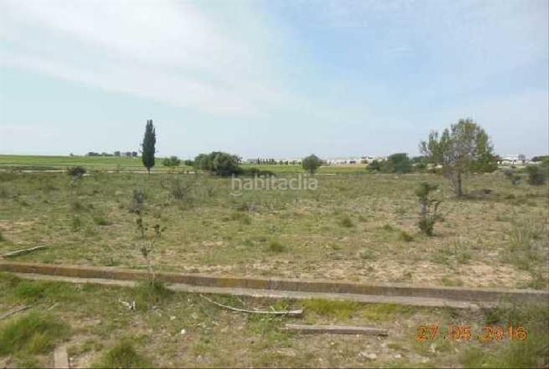 Foto b6edab3d-d8ac-49d5-8f3f-a33587f6ea1f. Finca rústica a Sant Jaume dels Domenys