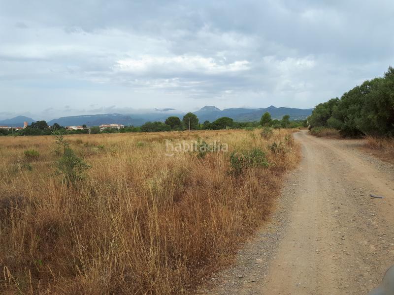 Foto 26ec131b-a730-49ed-85e4-24616a3d7a51. Landgut in Montbrió del Camp