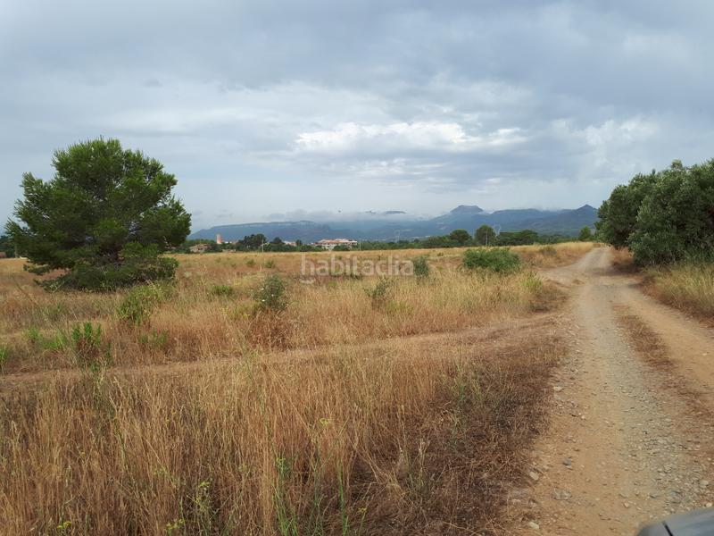 Foto 52e05c8b-8693-4bd1-805f-525b48ff0c62. Landgut in Montbrió del Camp