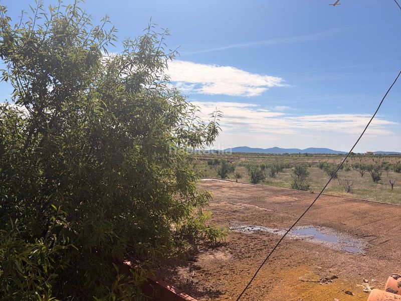 Foto c9e94524-d09f-4b1b-a7a2-d957771e7ae5. Finca rústica a Yecla