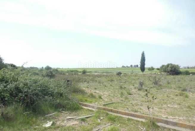 Foto 29febbe9-6960-4989-bf22-512fd7ce4940. Finca rústica a Sant Jaume dels Domenys