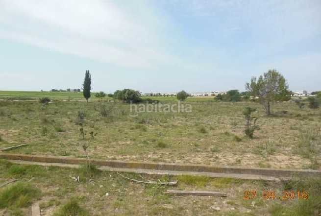 Foto d7274c3e-a574-4f1f-b899-8b10863b7dd7. Finca rústica a Sant Jaume dels Domenys