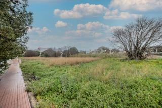 Finca rústica  Av de alicante. Solvia inmobiliaria  suelo urbano verger el