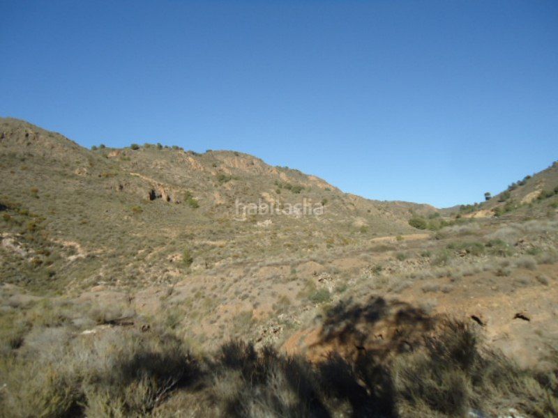 Foto 502c3e22-cbed-4da3-a0bb-b7ea97cbdc55. Finca rústica a Tébar - Los Arejos Águilas