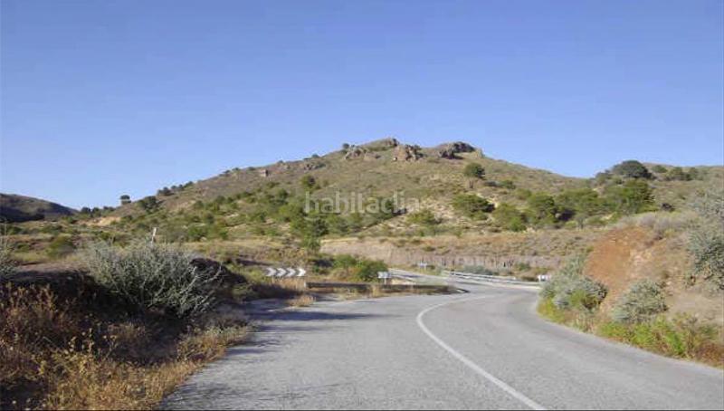 Foto e9699a9d-b68d-4410-afa2-9058c7ce006f. Finca rústica a Tébar - Los Arejos Águilas