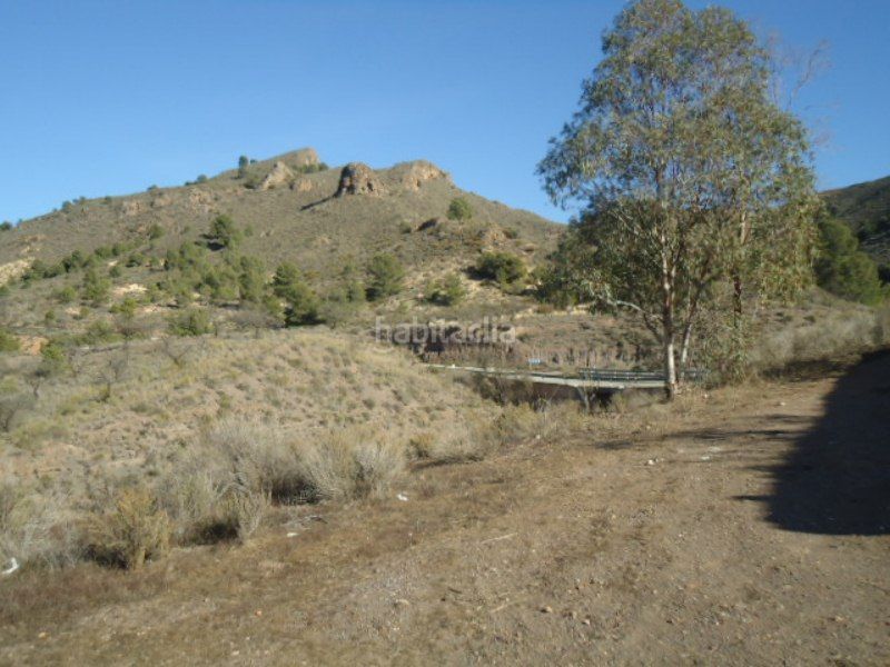 Foto f60b6e9b-34cd-46ec-9494-d642cde9c6aa. Finca rústica a Tébar - Los Arejos Águilas