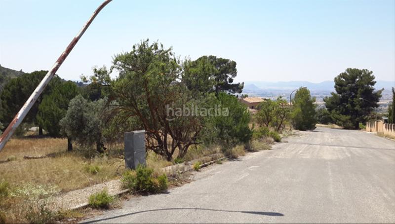 Foto 51a2790f-07a8-4018-ae65-f9c8524c29b7. Fondo rustico in Las Tiesas Villena