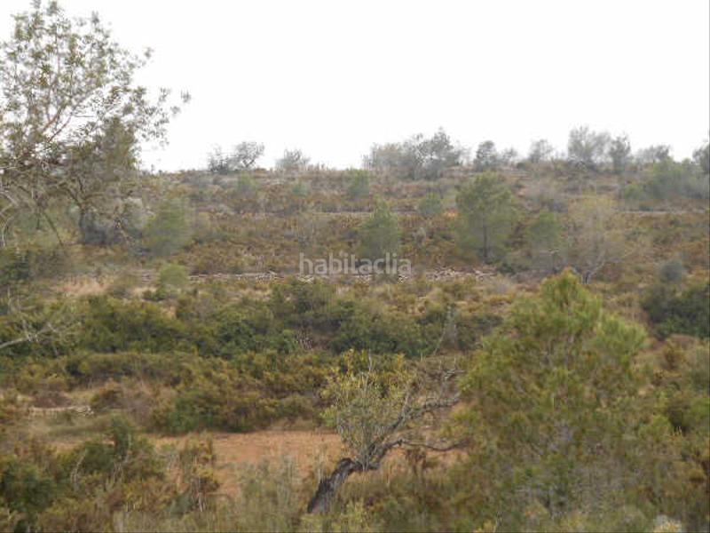 Foto 0b75c024-9162-47d8-a406-f0248b2234a0. Landgut in Alcalà de Xivert