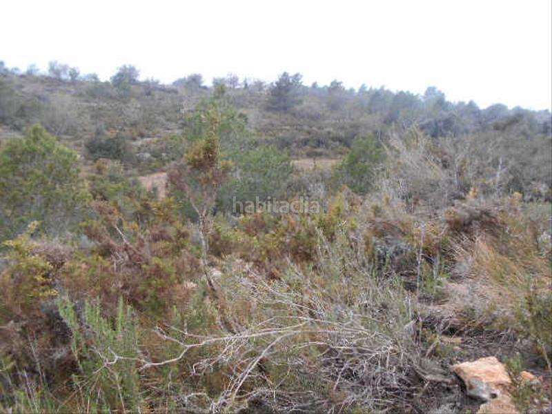 Foto e06427dd-add5-4971-9611-af79891e727d. Landgut in Alcalà de Xivert