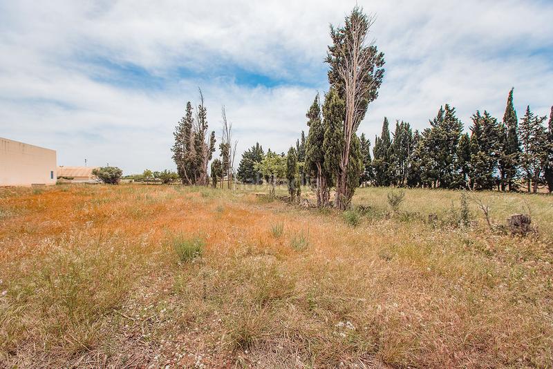 Foto 1c5ac430-f982-4b50-bf45-9596d2b60450. Finca rústica a Aldea (L´)