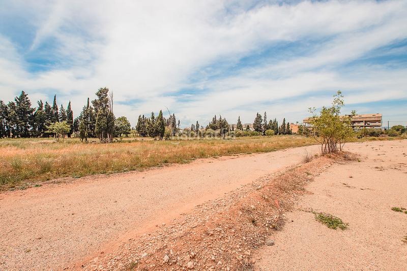 Foto 21df5ded-c099-4385-b5fc-c5ce6fd772d1. Finca rústica a Aldea (L´)