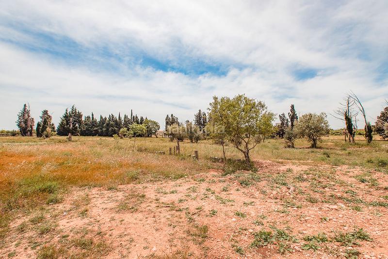 Foto 3fb045e4-b46f-428d-9482-77a59e133ca8. Finca rústica a Aldea (L´)