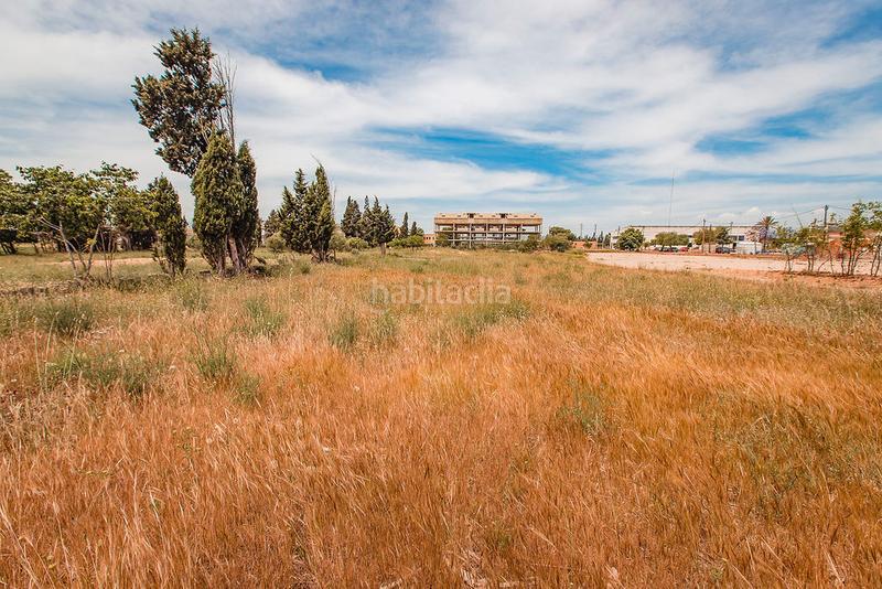 Foto 47851573-8032-44e8-99c2-53c5b0d26791. Finca rústica a Aldea (L´)