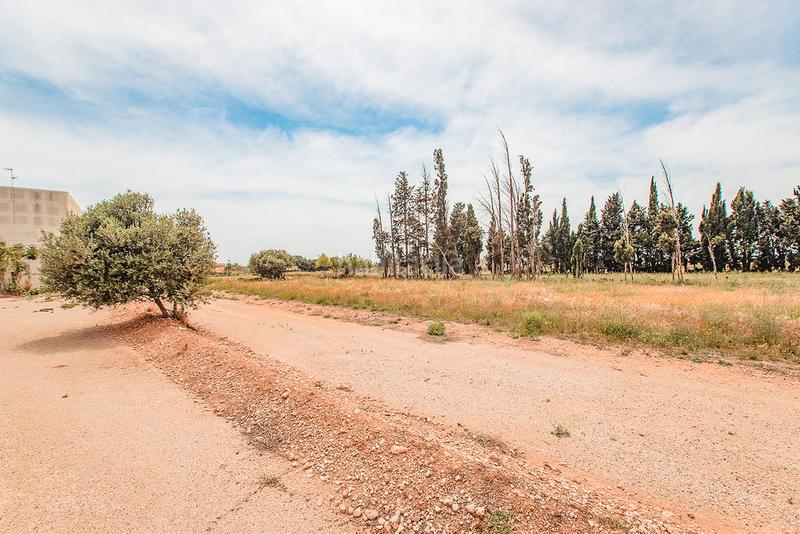 Foto 4c487938-07ab-4d60-97c5-5130feecf054. Finca rústica a Aldea (L´)