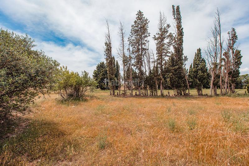 Foto 6ed34d41-8cfb-4127-90f1-9484dc1510b9. Finca rústica a Aldea (L´)